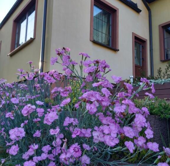 Hotel Dom Wczasowy Pięciu Pomostów I Domki Letniskowe