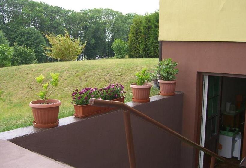 Hotel Dom Wczasowy Pięciu Pomostów I Domki Letniskowe