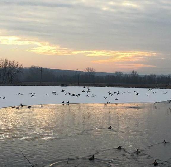 Отель Gunaras Resort Spa