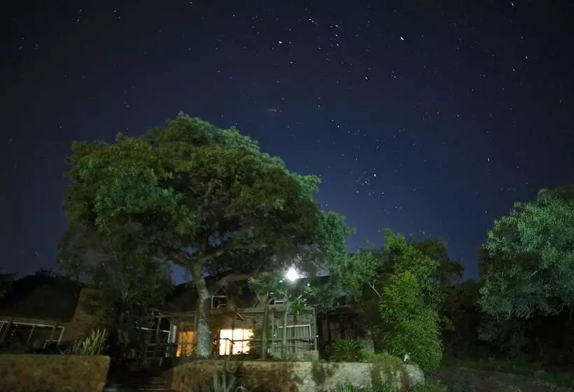ホテル Marula Cottage Guest Lodge