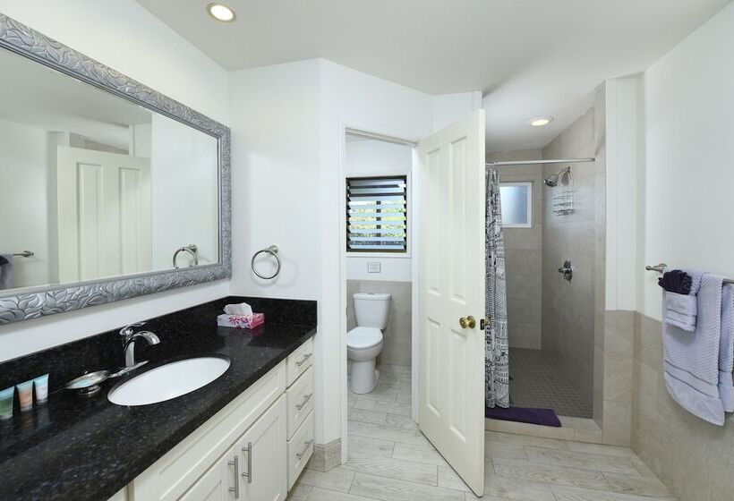 בית מלון כפרי Nona Lani Cottages