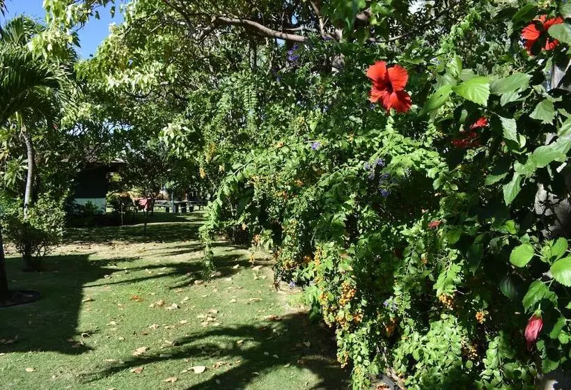 ホテル Nona Lani Cottages