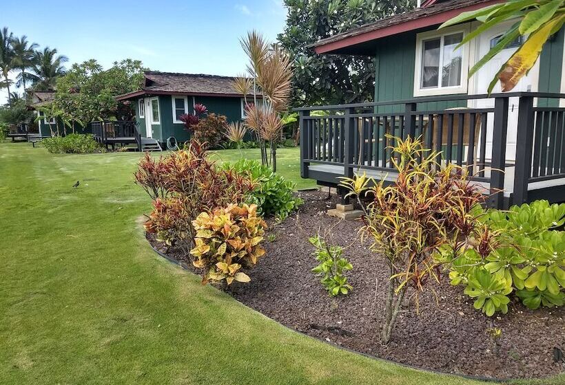 בית מלון כפרי Nona Lani Cottages