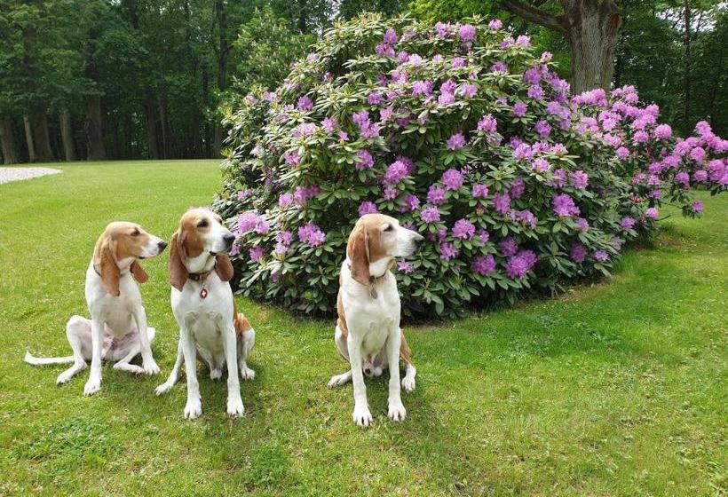 호텔 Pałac Nakomiady