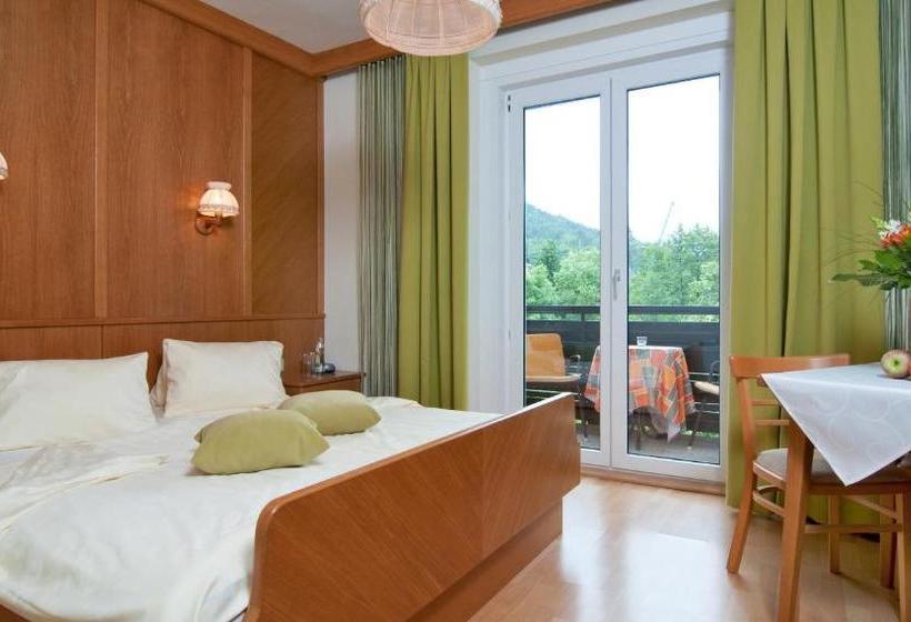 Отель Pension Weberhof