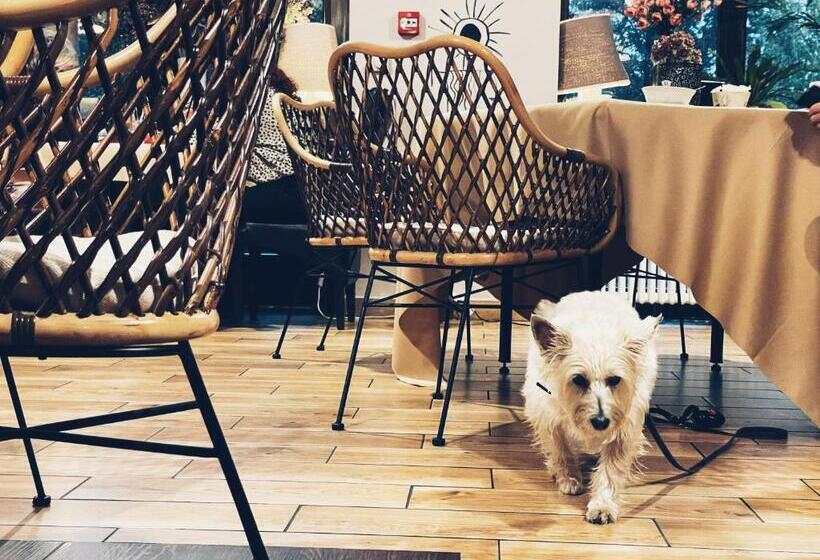 בית מלון כפרי Pensjonat Pod Jemiołą