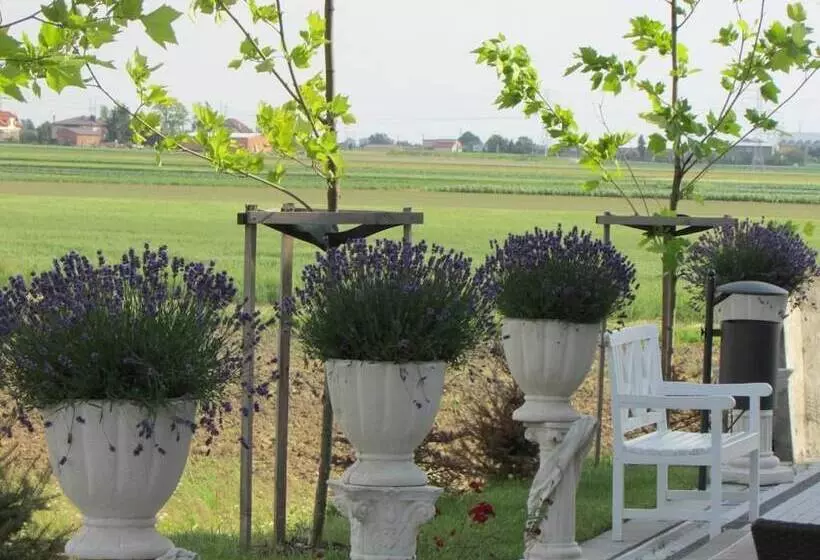 Hotelli Splendor