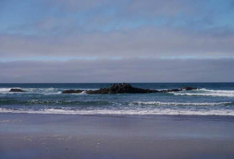 فندق West Beach Suites