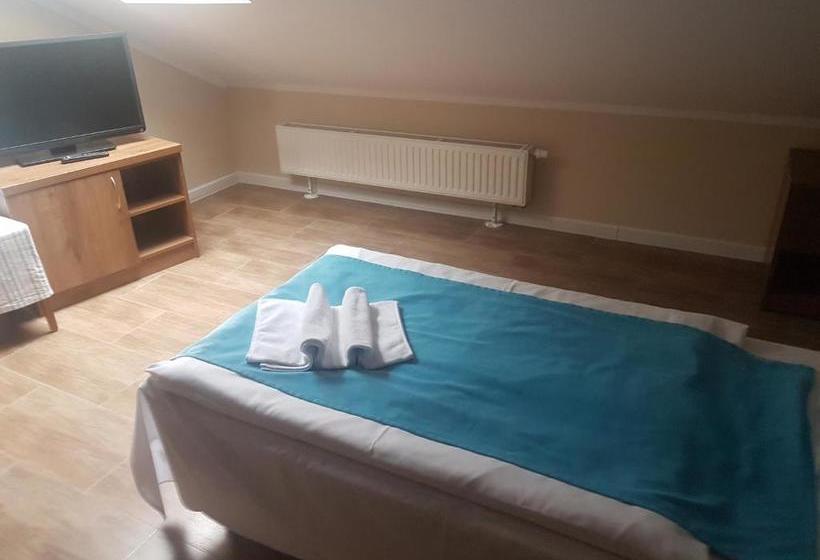 בית מלון כפרי Willa Arkadia