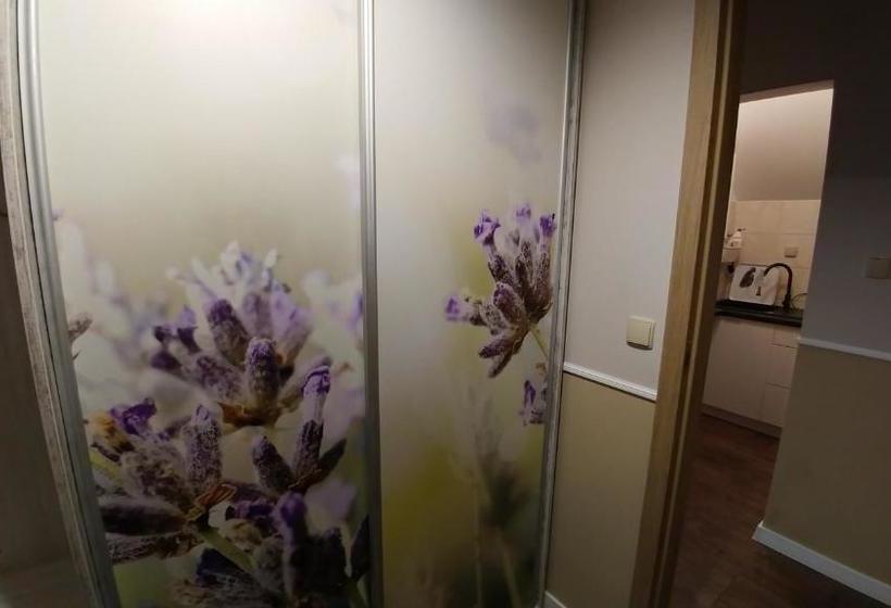 בית מלון כפרי Willa Arkadia