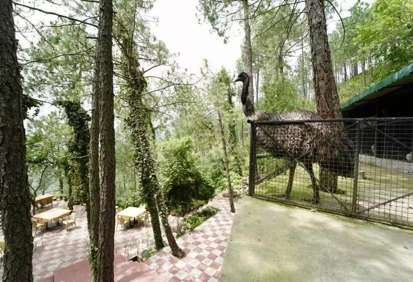 ホテル Nature View Resort !! A Four Star Lavish & Luxury Resort