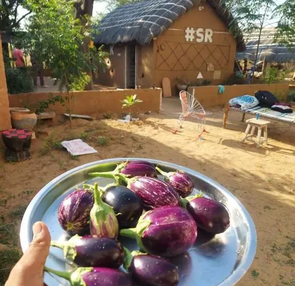 ホテル Sarai Rohida