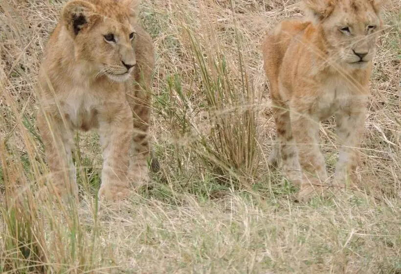ホテル Upendo Safari Lodge