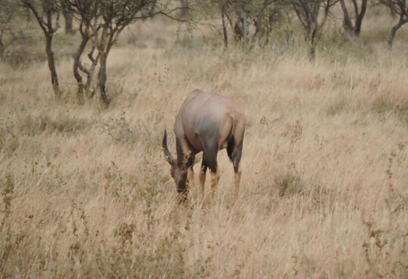酒店 Upendo Safari Lodge