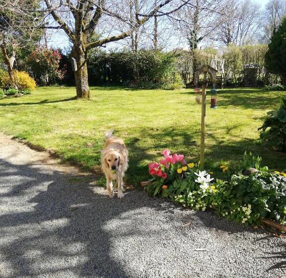 Papillons B&b Beauty, Comfort And Peace 25 Mins From Puy Du Fou