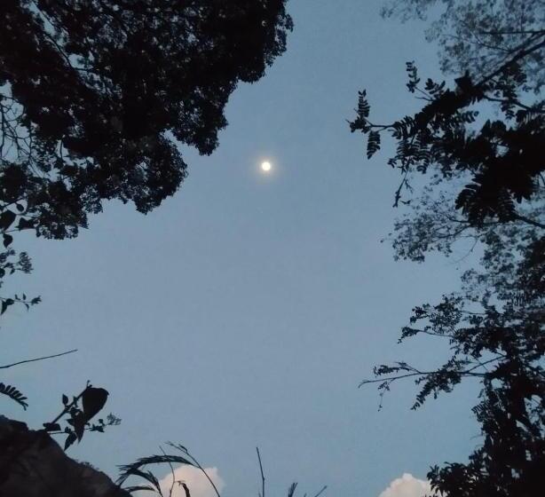 ユースホステル Cabaña Villeta Gualanday Purple Flower