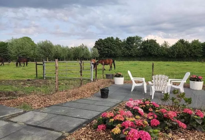 Aamiaismajoitus (B&B) De Tulp