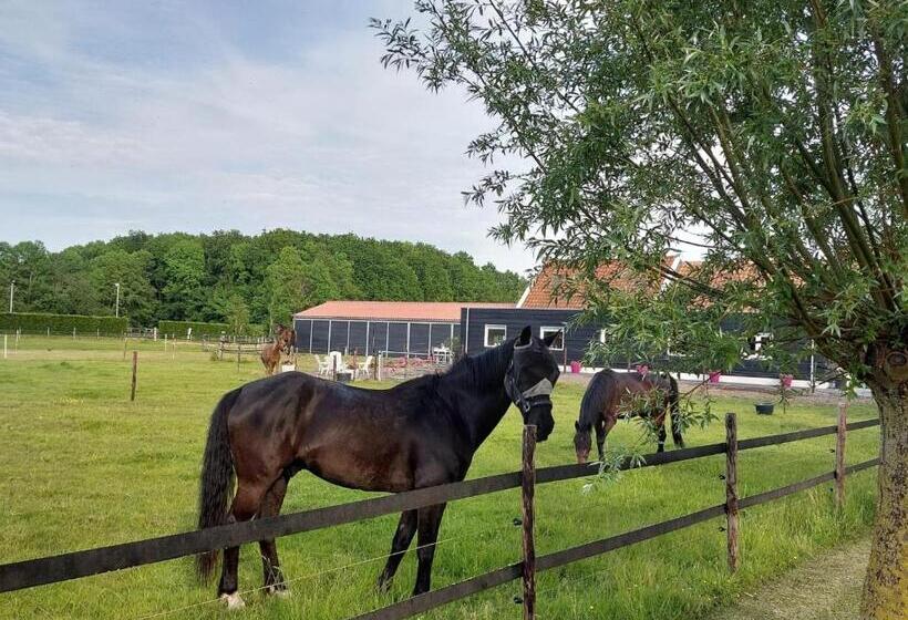 住宿加早餐 De Tulp