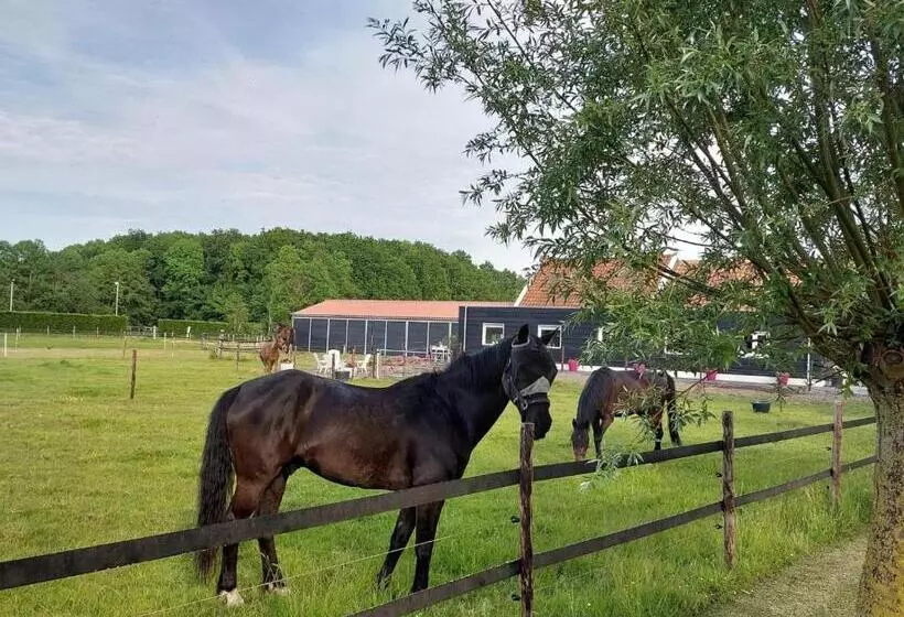 Aamiaismajoitus (B&B) De Tulp