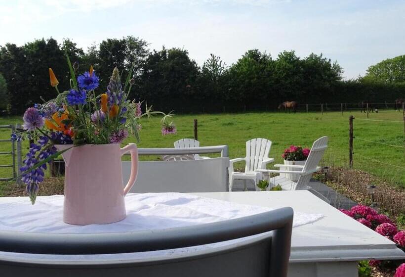 住宿加早餐 De Tulp