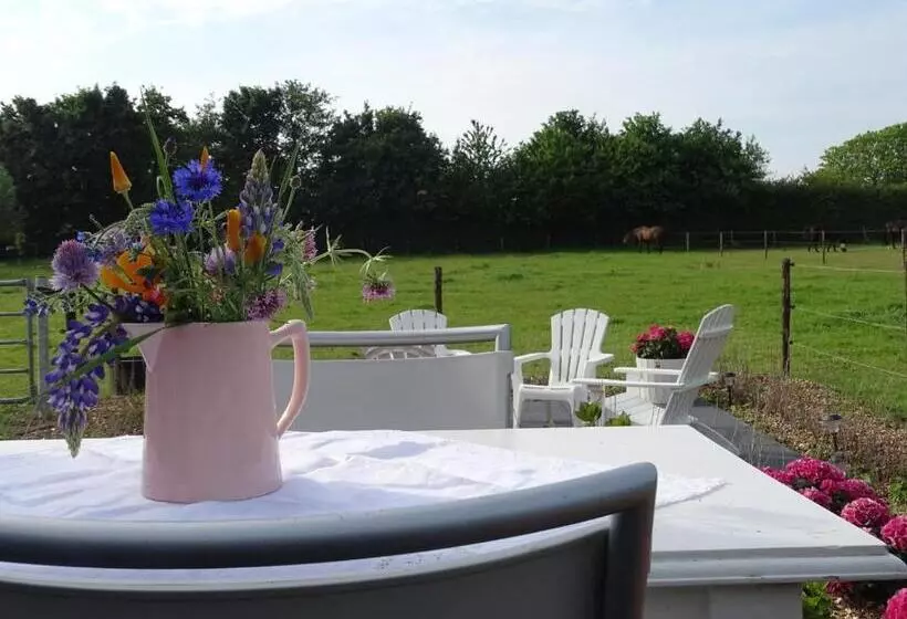 Aamiaismajoitus (B&B) De Tulp