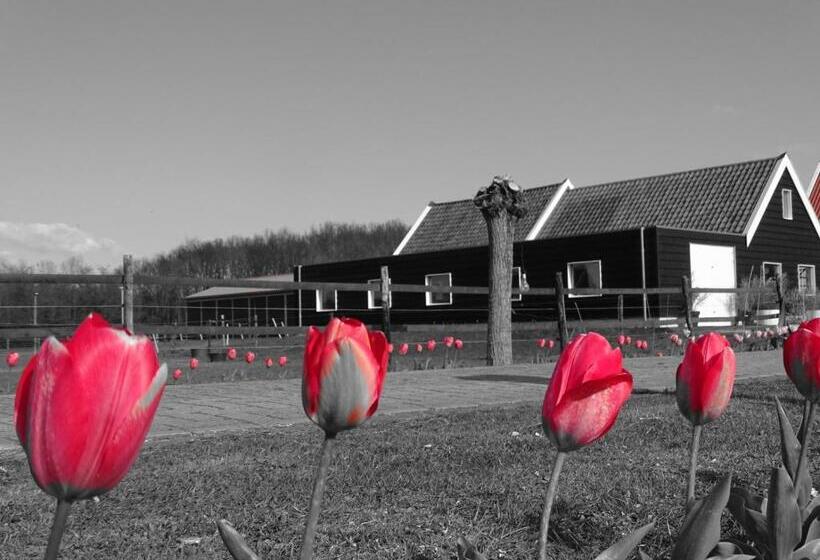 住宿加早餐 De Tulp