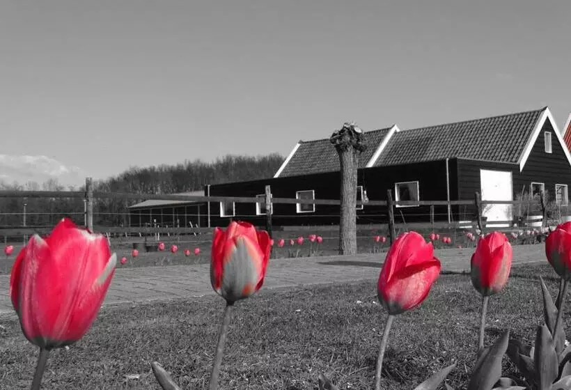 Aamiaismajoitus (B&B) De Tulp