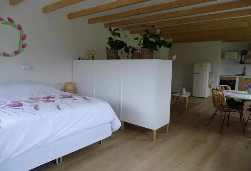 Aamiaismajoitus (B&B) De Tulp