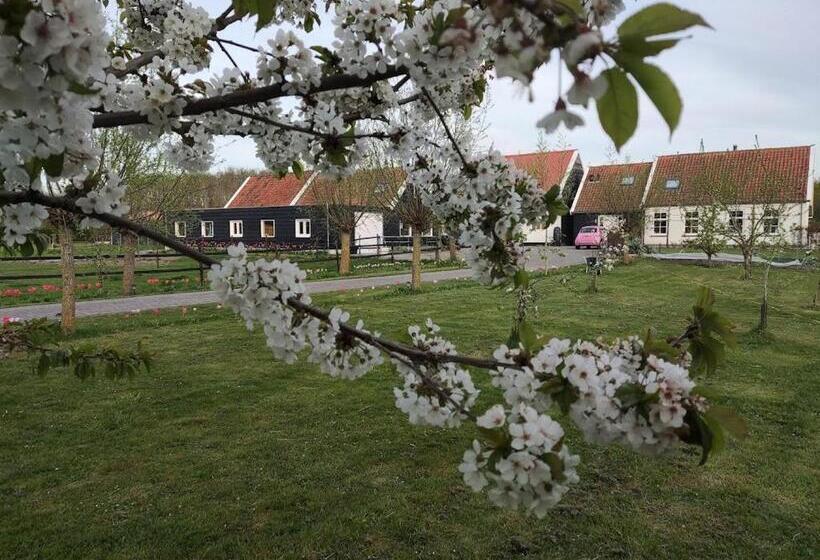 住宿加早餐 De Tulp