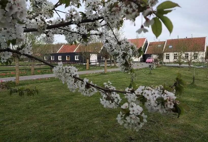 Aamiaismajoitus (B&B) De Tulp