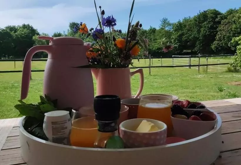 Aamiaismajoitus (B&B) De Tulp