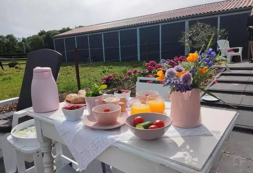 Aamiaismajoitus (B&B) De Tulp