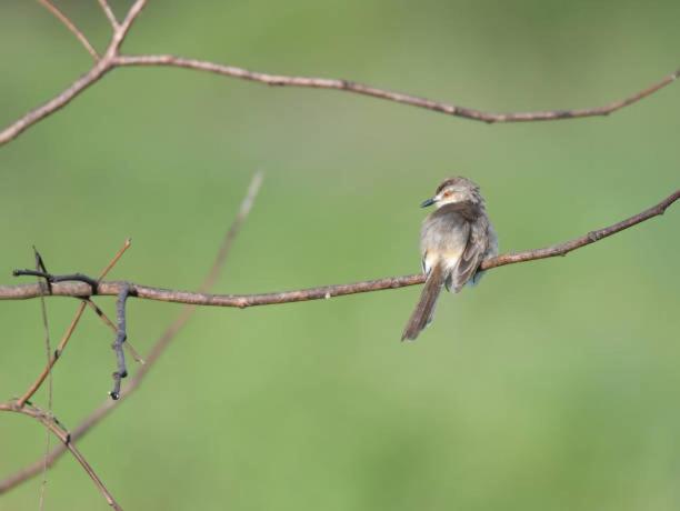 Bed and Breakfast Share Safari Paradise