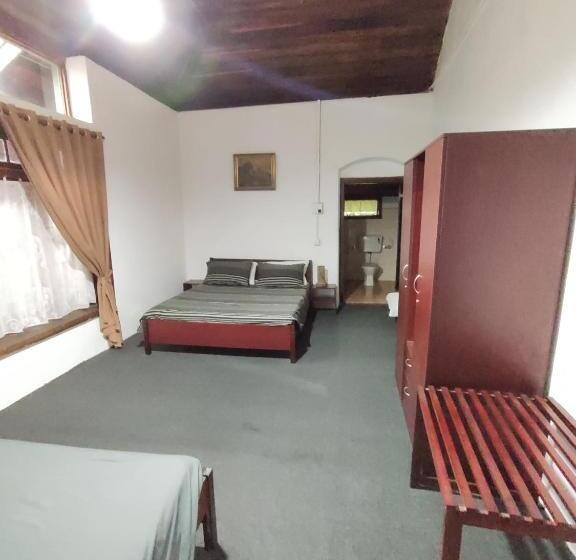 مبيت وإفطار Spring Shannon Heritage