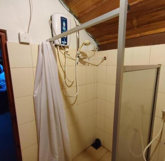 مبيت وإفطار Spring Shannon Heritage