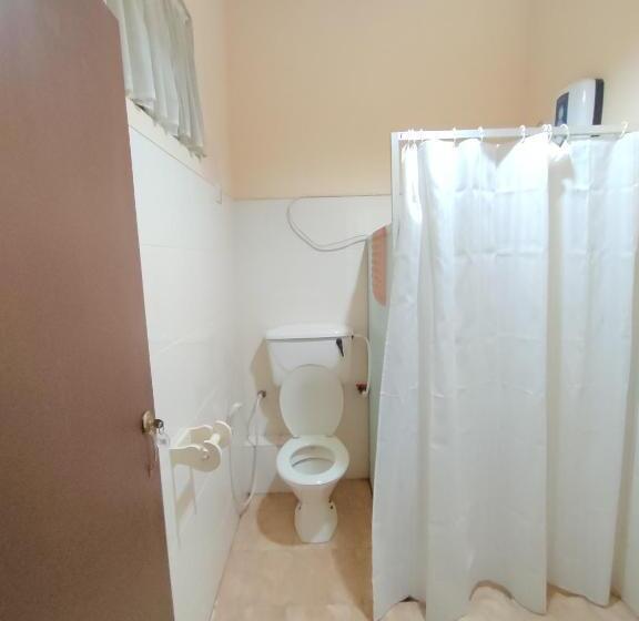 مبيت وإفطار Spring Shannon Heritage