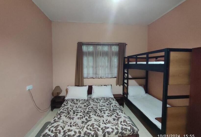 مبيت وإفطار Spring Shannon Heritage