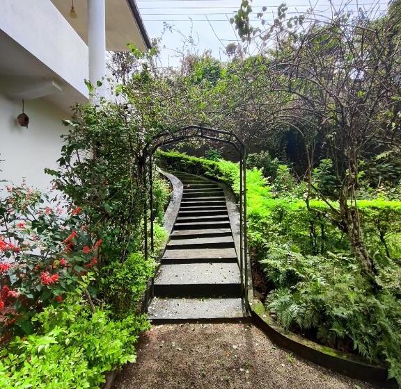 مبيت وإفطار Spring Shannon Heritage