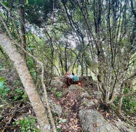 هتل Rock N Fall Nature Resort