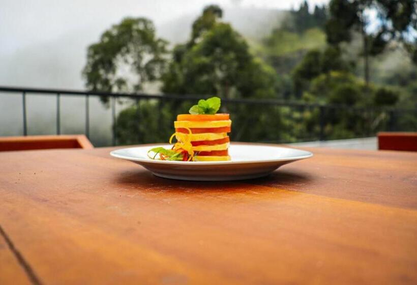 هتل Rock N Fall Nature Resort