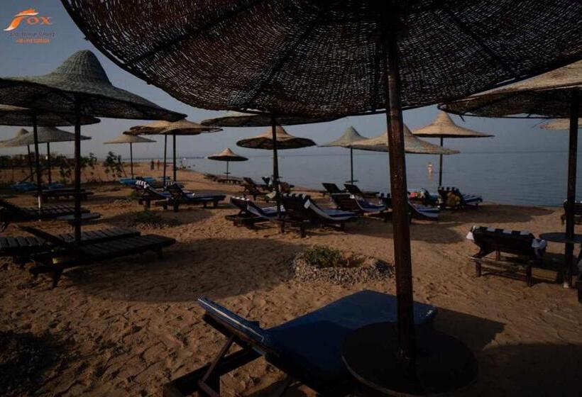 پانسیون Fox Resort El Gouna Stay