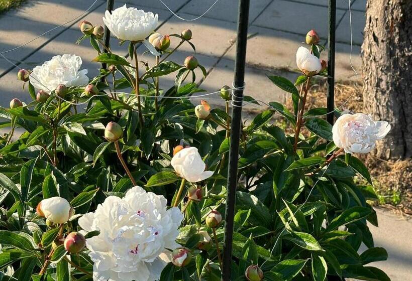 リゾートホテル Wellness Beskydy