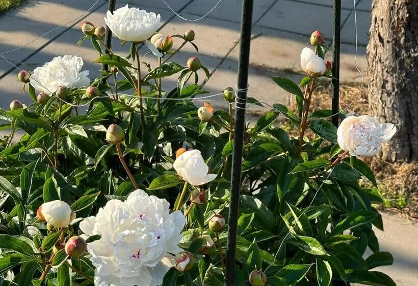 Lomakeskus Wellness Beskydy