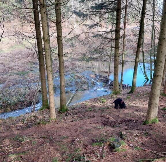 ベッドアンドブレックファースト La Cour De Grandmenil