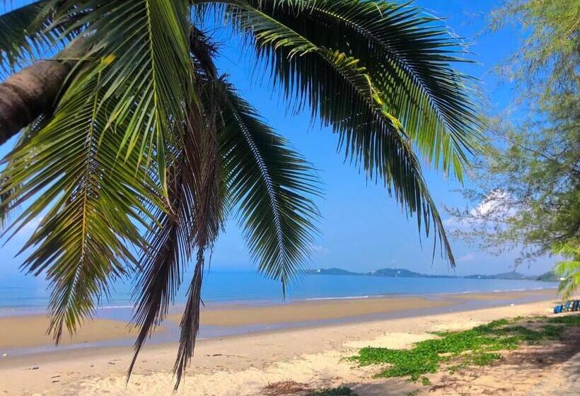 Hotel Cruises The Pool Access