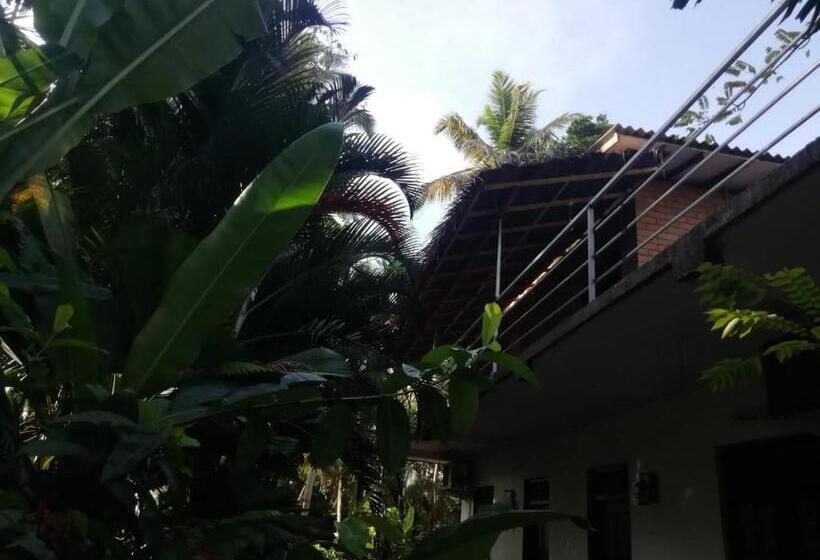 بنسيون Jungle Clay House Mirissa