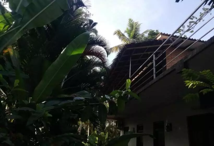 پانسیون Jungle Clay House Mirissa