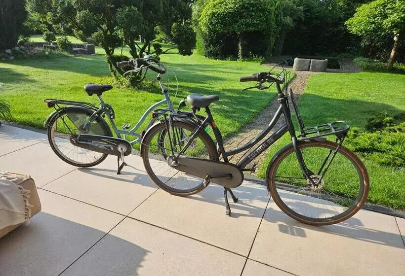 Bed And Breakfast Bij Ons In Het Bos