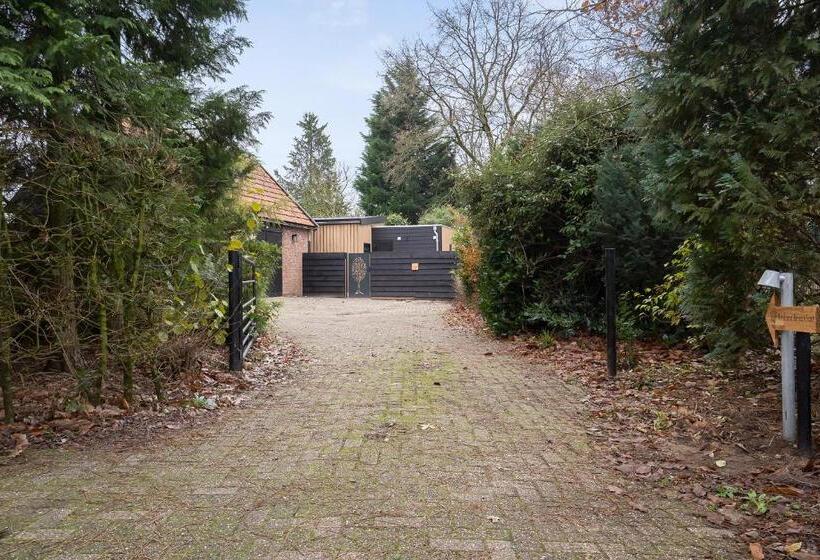 Bed And Breakfast Bij Ons In Het Bos