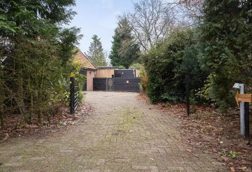 Bed And Breakfast Bij Ons In Het Bos